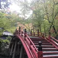今高野山龍華寺の写真_323840