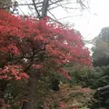 今高野山龍華寺の写真_323841