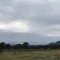 大山まきばみるくの里の写真_324615