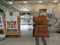東大阪市役所の写真_324790