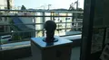 登戸駅の写真_325328
