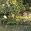 兼六園の写真_325716