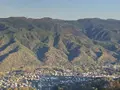 宝登山の写真_325829
