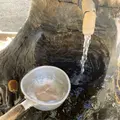 株湯の写真_326374
