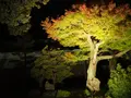 金沢城公園の写真_326413
