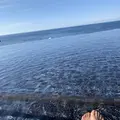 ホテルシーモアの写真_326717