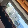 南紀白浜 活紀州本クエ料理 九絵亭の写真_326722