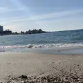 白良浜の写真_326731