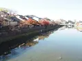 主計町茶屋街の写真_327280