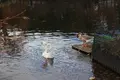 道の駅 田園プラザかわばの写真_327290