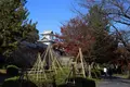 金沢城公園の写真_327651