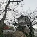 金沢城公園の写真_327652