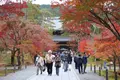南禅寺の写真_328152