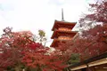 清水寺の写真_328163