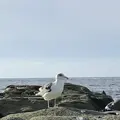 千畳敷の写真_328175