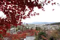 永観堂（禅林寺）の写真_328192