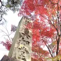 真如堂（真正極楽寺）の写真_328195
