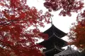 真如堂（真正極楽寺）の写真_328196