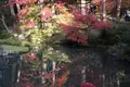 金戒光明寺の写真_328197