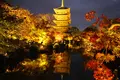東寺（教王護国寺）の写真_328200