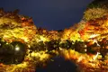 東寺（教王護国寺）の写真_328201