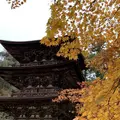 湖東三山西明寺 紅葉名所の写真_328336