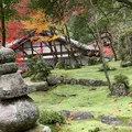 湖東三山西明寺 紅葉名所の写真_328337