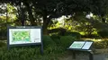 日比谷公園の写真_328399