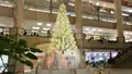 横浜ランドマークタワーの写真_328436