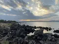 桜島溶岩なぎさ公園＆足湯の写真_329143