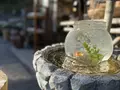 仙巌園の写真_329179
