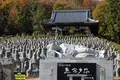 太陽公園　の写真_330053