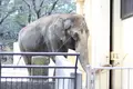 姫路市立動物園の写真_330066