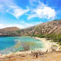 Hanauma Bay（ハナウマ湾）の写真_330417