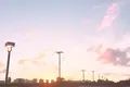 ハワイ大学 - マノアの写真_330430