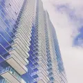 カカアコ（kaka’ako）の写真_330488