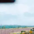 ディリンガム飛行場の写真_330548