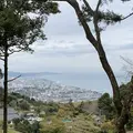 石垣山一夜城歴史公園の写真_330895