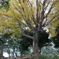 石垣山一夜城歴史公園の写真_330896