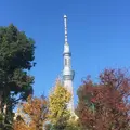 亀戸天神社の写真_330912