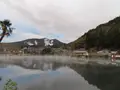 金鱗湖の写真_331065