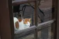 侯硐の写真_331250