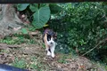 侯硐の写真_331251