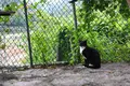 侯硐の写真_331252