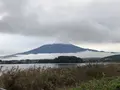 河口湖自然生活館の写真_331256
