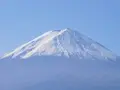 河口湖自然生活館の写真_331257
