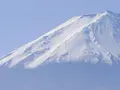 河口湖自然生活館の写真_331258
