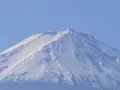 河口湖自然生活館の写真_331259