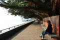 淡水老街（Tamsui Old Street）の写真_331317