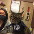喜楽湯の写真_331424